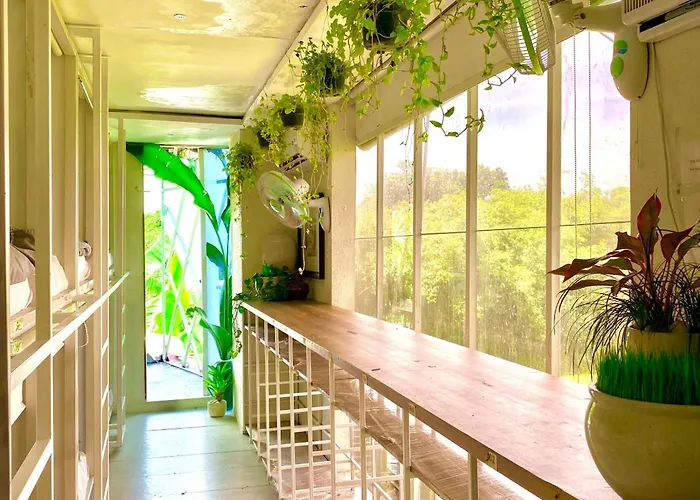 Hostel The Hide At (adults Only) Canggu (Bali)