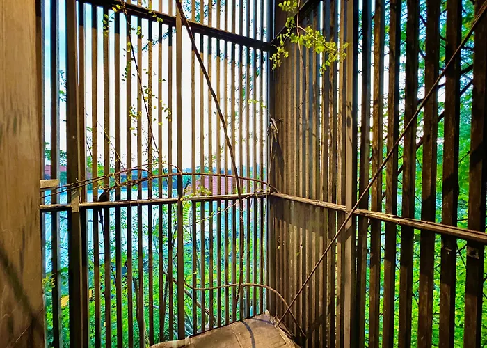 The Hide At (adults Only)